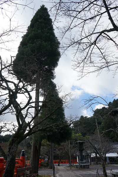 409 鞍馬寺（二）23.jpg