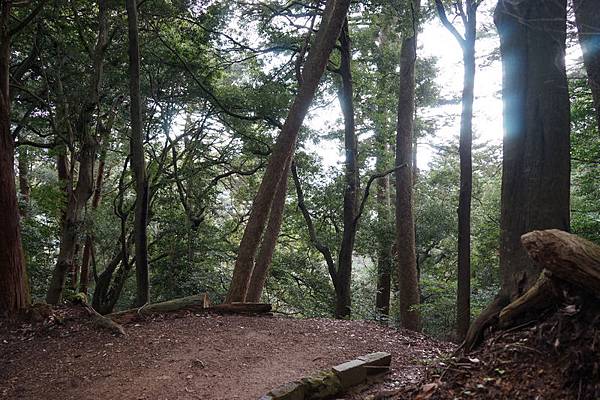 410 鞍馬寺奧之院參道 23.jpg