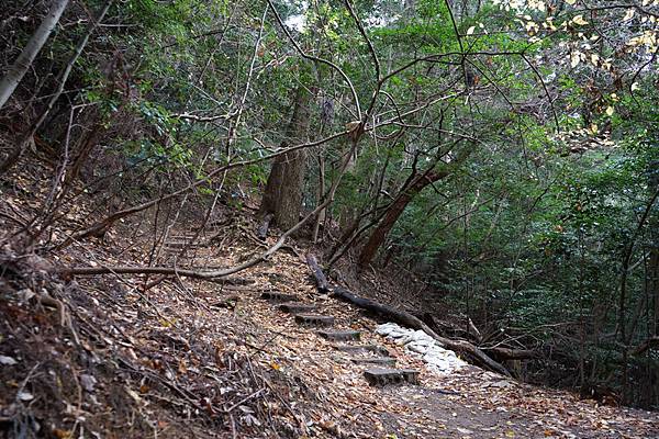 410 鞍馬寺奧之院參道 35.jpg