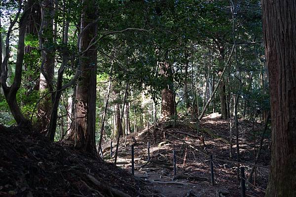 410 鞍馬寺奧之院參道 42.jpg