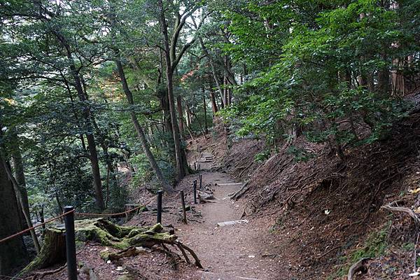 410 鞍馬寺奧之院參道 50.jpg