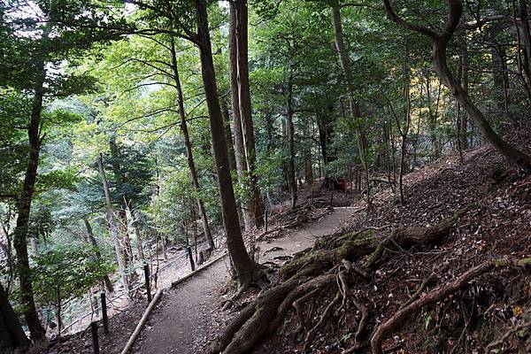 410 鞍馬寺奧之院參道 53.jpg