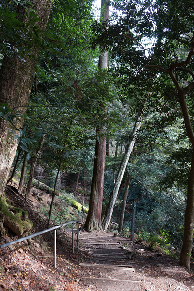 410 鞍馬寺奧之院參道 59.jpg