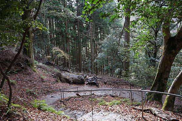 410 鞍馬寺奧之院參道 76.jpg