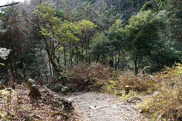 410 鞍馬寺奧之院參道 87.jpg