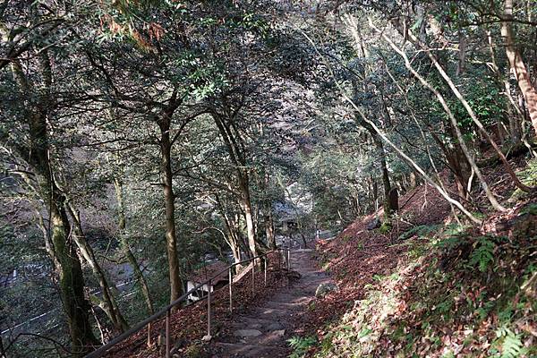 410 鞍馬寺奧之院參道 90.jpg