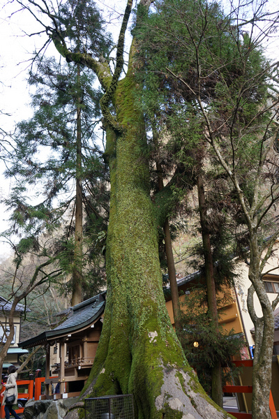 414 貴船神社 03.jpg