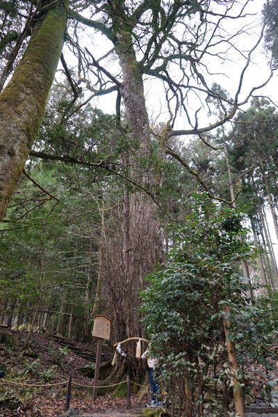 415 貴船神社中宮結社 23.jpg