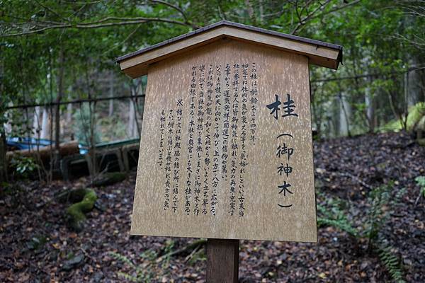 415 貴船神社中宮結社 21.jpg