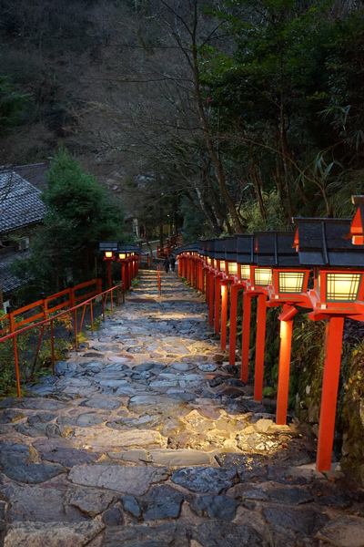 417 貴船神社夜景 04.jpg