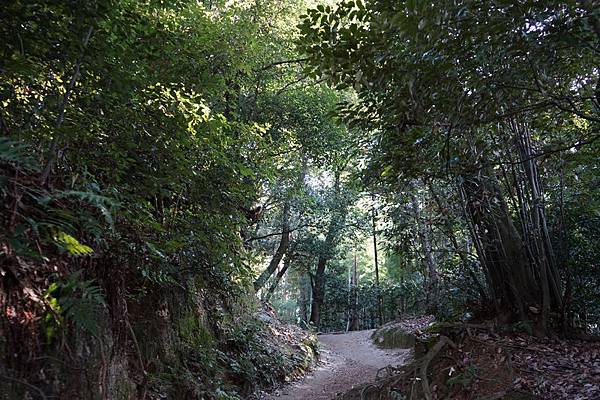 505 伏見神寶神社 04.jpg