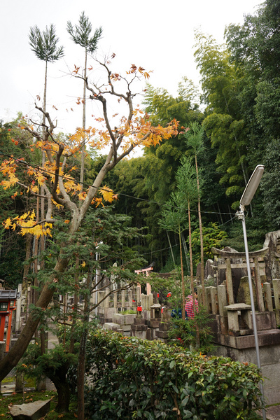 507 伏見荒木神社 06.jpg