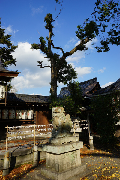 511 宇治縣神社 12.jpg