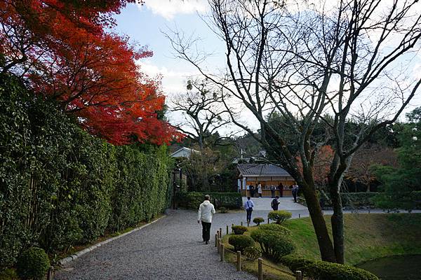 512 平等院 37.jpg