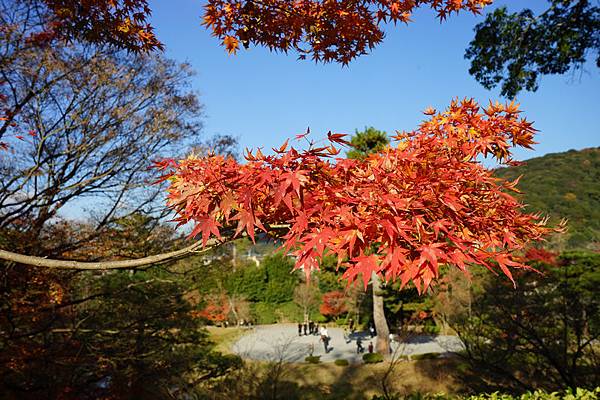 512 平等院 46.jpg