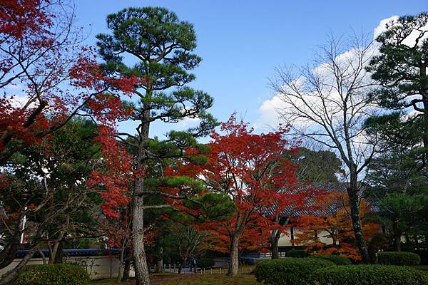 512 平等院 12.jpg