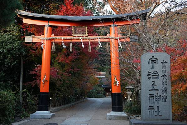 515 宇治上神社 26.jpg 515 宇治上神社 26.jpg