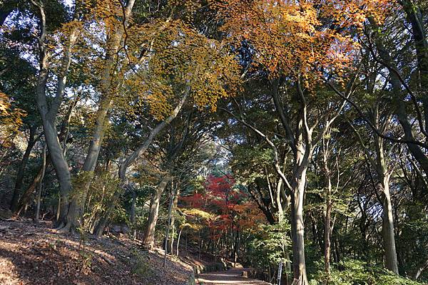 516 大吉山風致公園 08.jpg