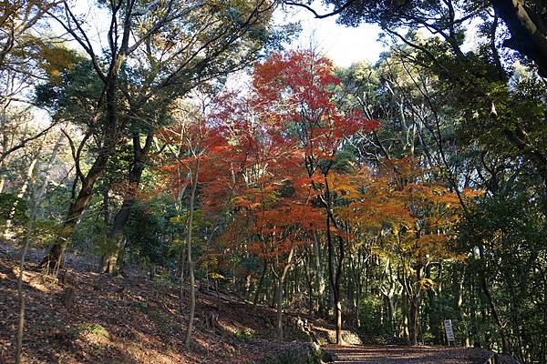 516 大吉山風致公園 09.jpg