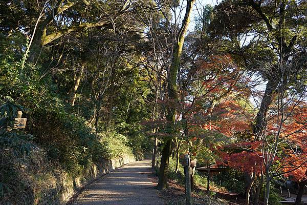 516 大吉山風致公園 03.jpg