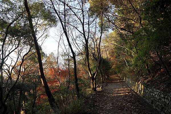 516 大吉山風致公園 17.jpg