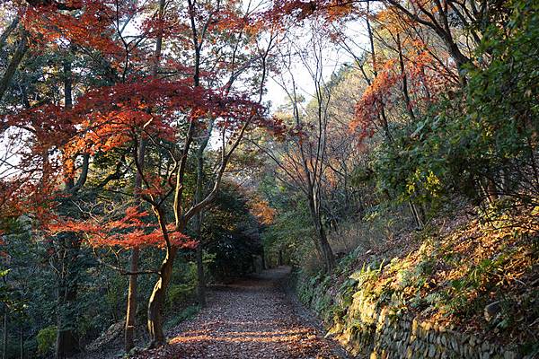 516 大吉山風致公園 46.jpg