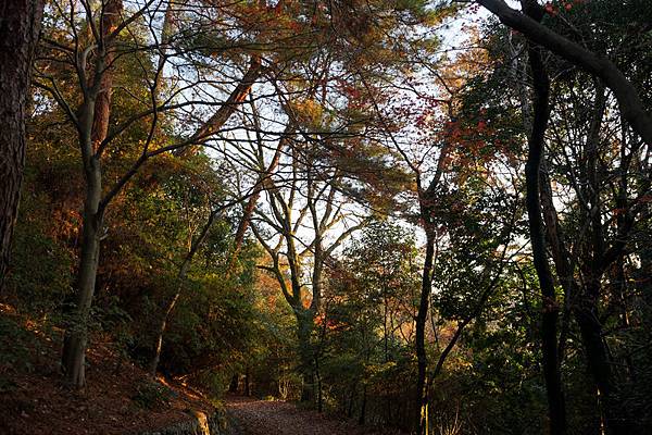 516 大吉山風致公園 41.jpg 516 大吉山風致公園 41.jpg