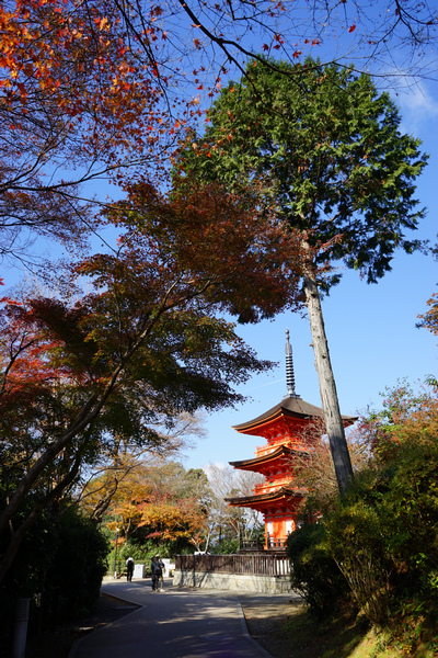 602 清水寺 65.jpg