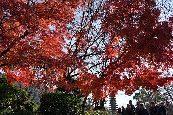 602 清水寺 92.jpg