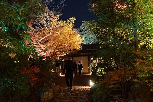 309 高台寺夜景 29.jpg