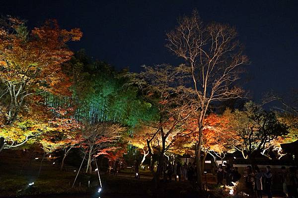 309 高台寺夜景 66.jpg