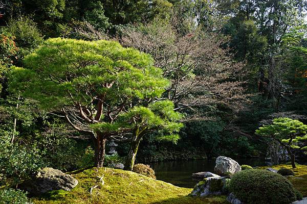 611 知恩院方丈庭院 23.jpg