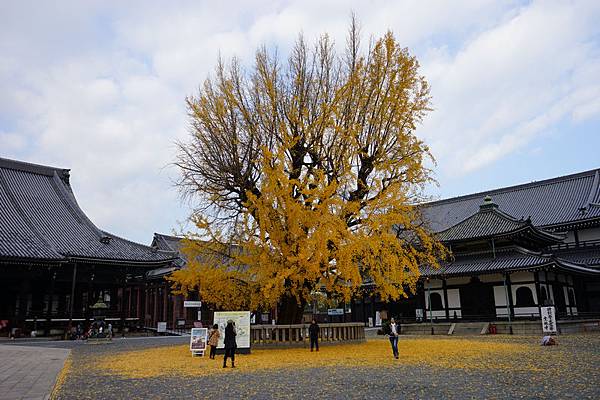 701 西本願寺 08.jpg