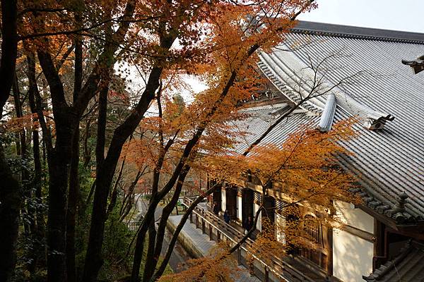 710 永觀堂禪林寺 36.jpg