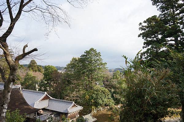 806 早尾神社 06.jpg