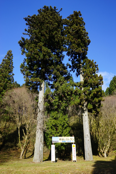 811 奥比叡車道（西塔 - 橫川） 07.jpg