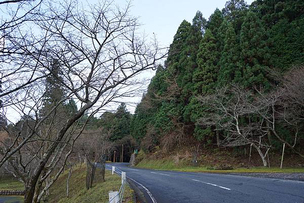 813 奥比叡車道（橫川 - 東塔） 49.jpg