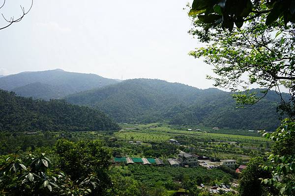 仁山植物園 15.jpg