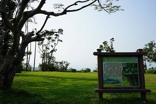 仁山植物園 70.jpg