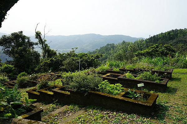 仁山植物園 110.jpg