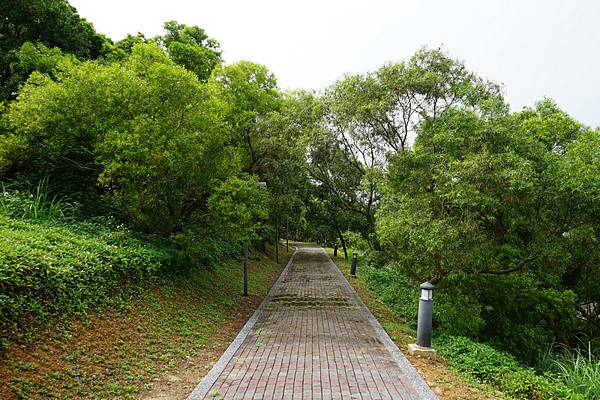 馬偕醫學院 09.jpg