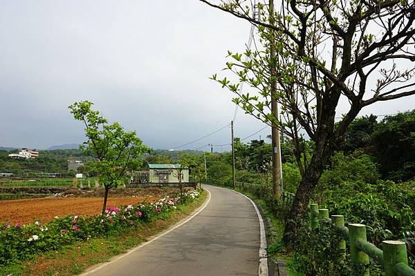 櫻花自行車道 06.jpg