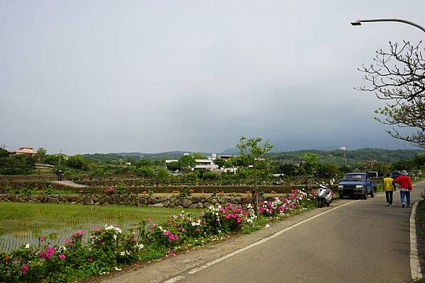 櫻花自行車道 05.jpg