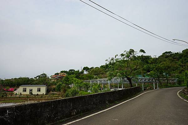 櫻花自行車道 09.jpg