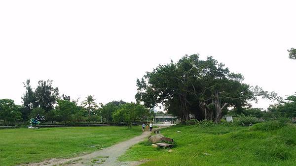 衛武營都會公園 23.jpg