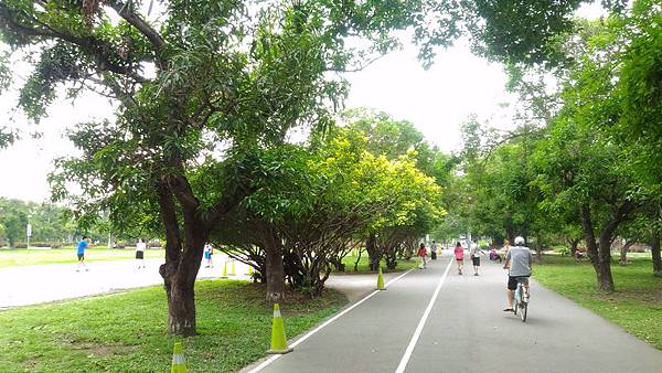 衛武營都會公園 20.jpg