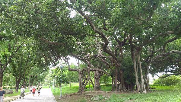 衛武營都會公園 35.jpg