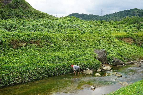 萬里國聖埔海灘 21.jpg