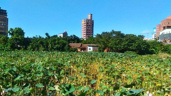 三芝中興街二段、中興街一段 06.jpg