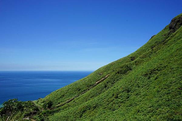 茶壺山產業道路 14.jpg